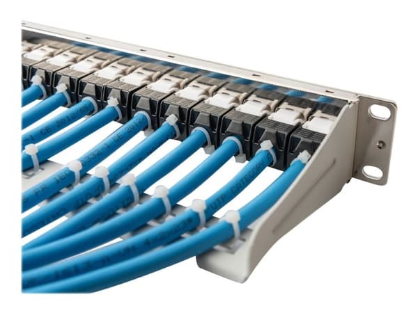 DIGITUS Professional DN-91419 - Patch-panel - stativmonterbar - grå, RAL 7035 - 1U - 10" - 12 portar