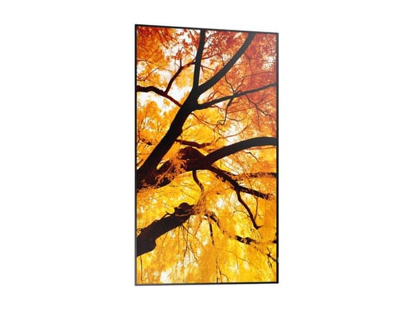 Sharp MultiSync M862, Digitaalinen litteä infotaulu, 2,18 m (86"), LCD, 3840 x 2160 pikseliä, 24/7