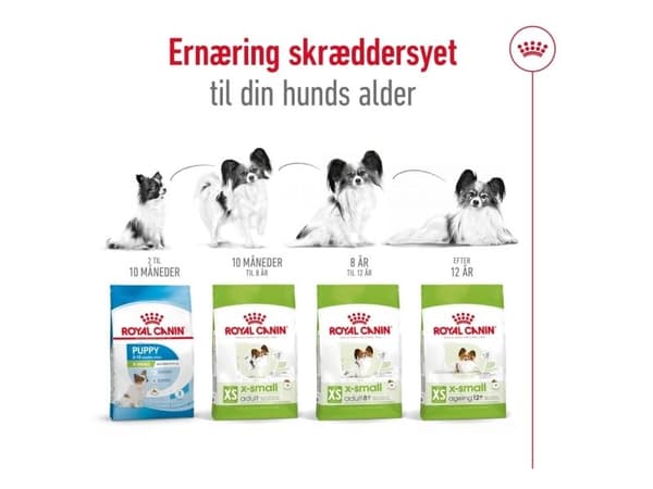 Royal Canin X-Small Ageing 12+ tørfoder til hund - 1.5 kg