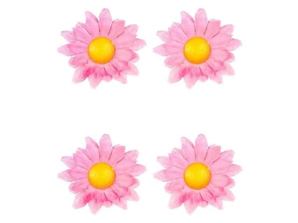 Dekorativa blommor, rosa