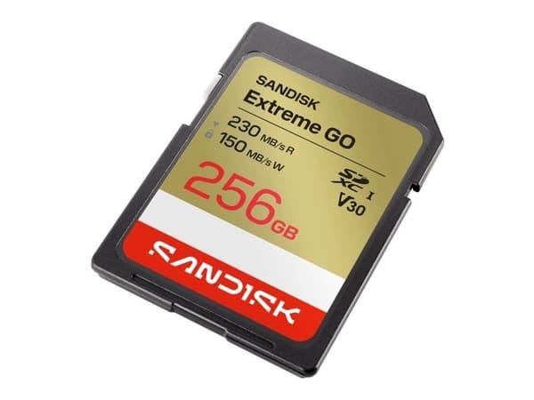 SANDISK SD Extreme GO 256GB