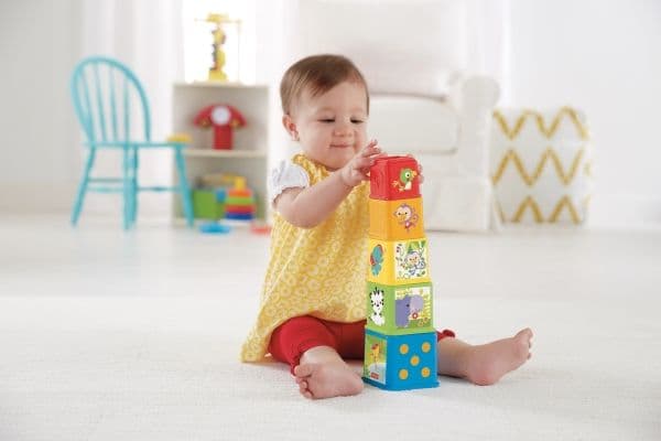 Fisher Price Stack & Explore Blocks
