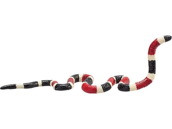 Mojo Coral Snake