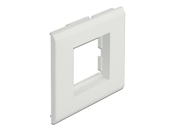 Delock - Easy 45 - runko - 2 moduulia - valkoinen, RAL 9003