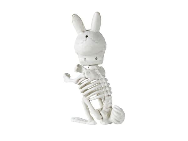 Kanin luuranko, 16 cm.