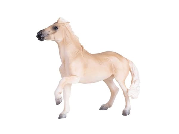 Mojo Brumby hingst