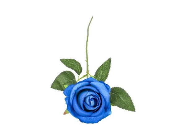 Blå ros, 50 cm