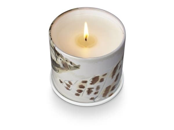 ILLUME Driftwood vanity tin duftlys hvit