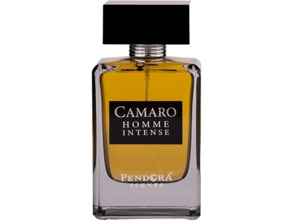 Paris Corner Camaro Homme Intense Eau De Parfum 100ml