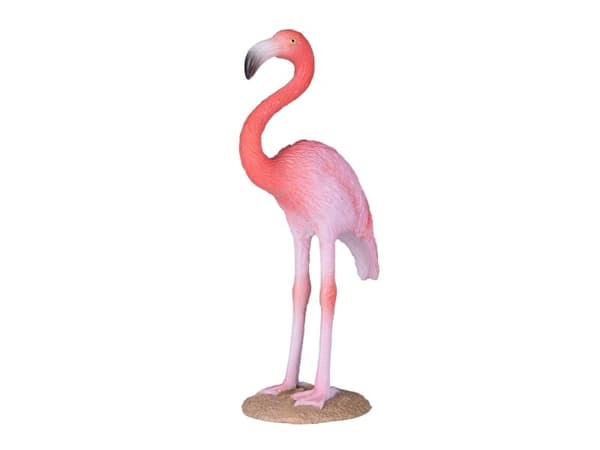 Mojo Amerikansk Flamingo