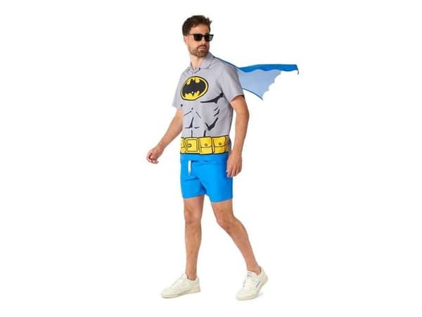 Batman sommarset