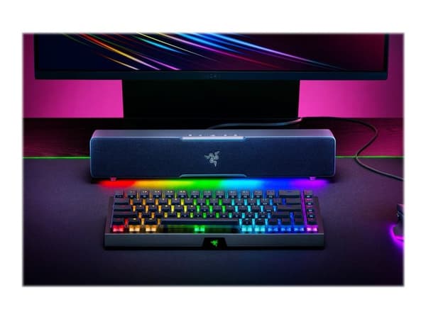 Razer Leviathan V2 X - Soundbar - för persondator - trådlös - Bluetooth - Appkontrollerad - USB