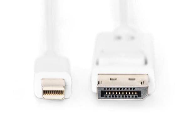ASSMANN - DisplayPort-kabel - Mini DisplayPort (hann) til DisplayPort (hann) - 1 m - formstøpt - hvit