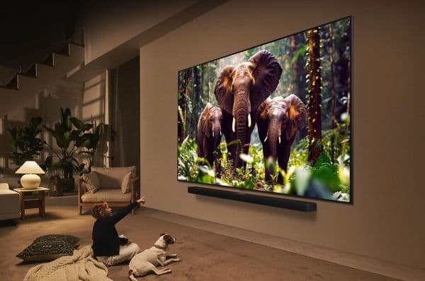 TV 55QNED87A3B