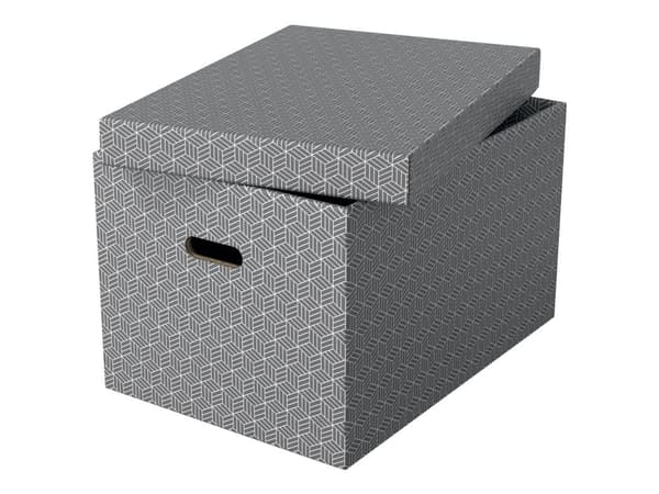 Esselte Home - Lagerboks - large - grå (en pakke 3)