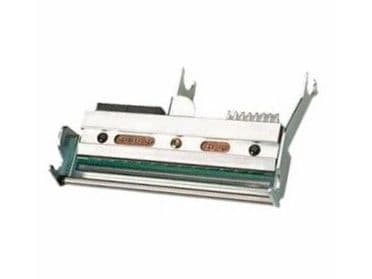 Intermec - 203 dpi - skrivhuvud - för Intermec PC43