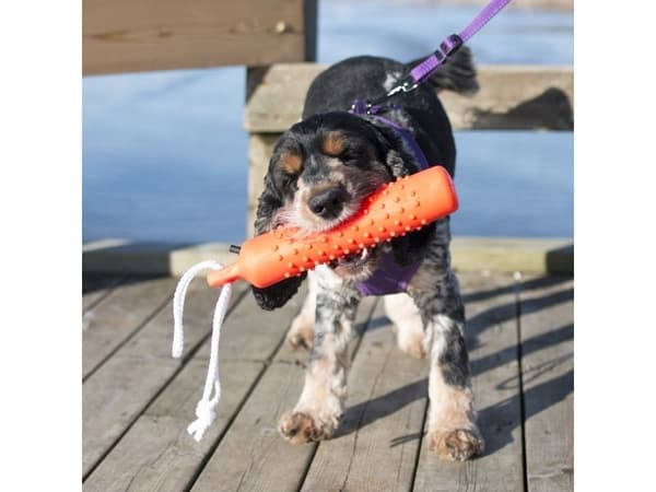 DOGMAN Gummidummies stor 28 cm