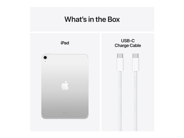 iPad Wi-Fi Cell 128GB Sølv