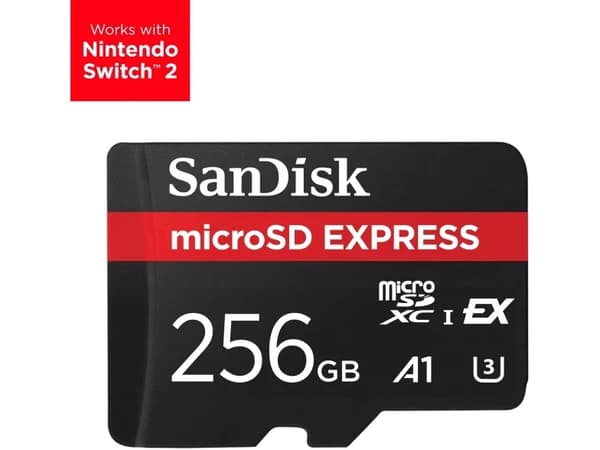SanDisk Express - Flashminnekort - 256 GB - microSDXC UHS-I