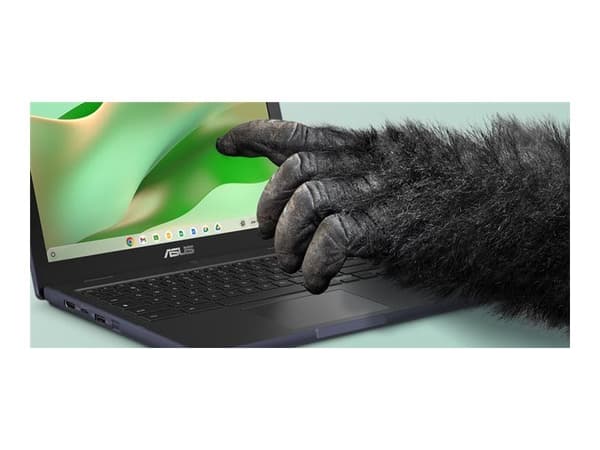ASUS Chromebook CZ1204CM4A-R80034