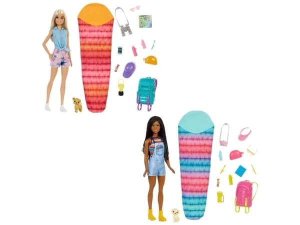 Barbie Camping doll with accessories (1 pcs) - Assorted