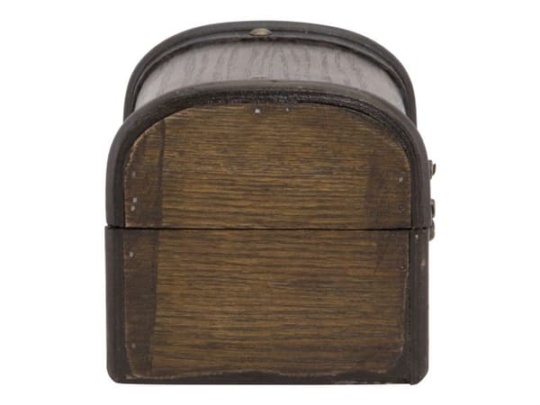 Securit® TREASURE BOX til regning