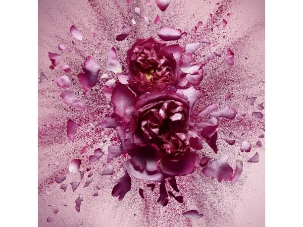 Viktor & Rolf Flowerbomb Nectar EDP W 50 ml