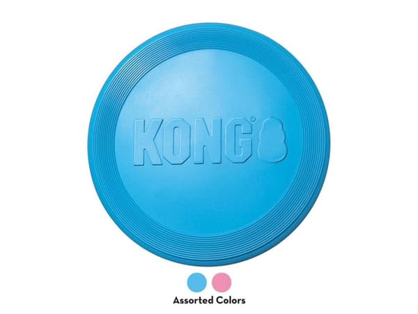 KONG Kong pentu flyer (freesbee)