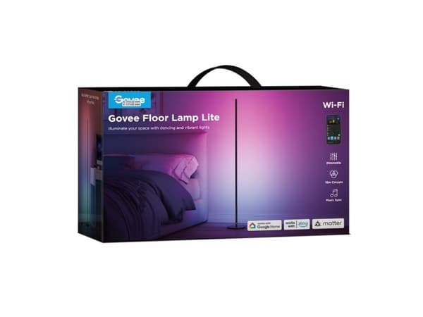 Govee Floor Lamp Lite