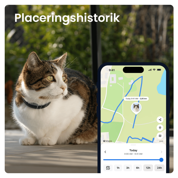 Tractive CAT 6 Mini - Black