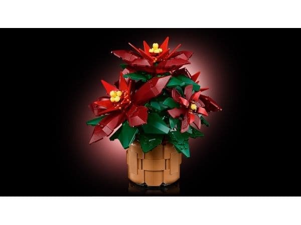 LEGO Botanicals 10370 Julestjerne