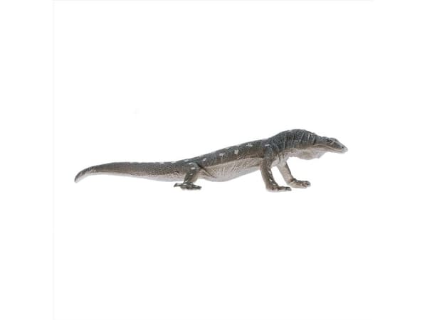 Mojo Perentie-ödla