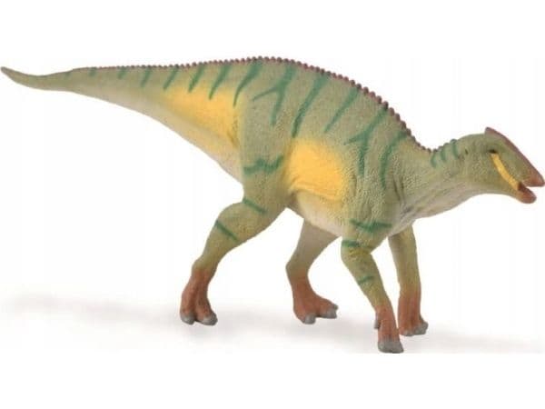 Samle KAMUYSAURUS