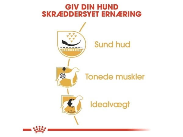Royal Canin Pug Adult tørfoder til hund - 7.5 kg