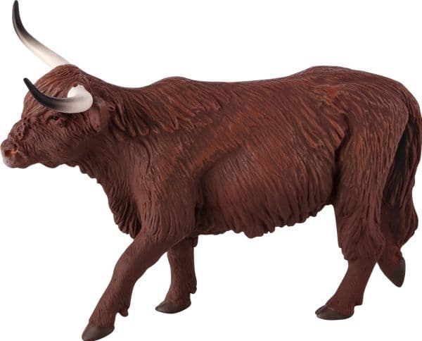 Mojo Scottish Highland Cow