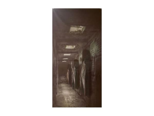 Creepy long hall dørdekoration