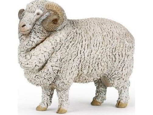 PAPO Aries Merino