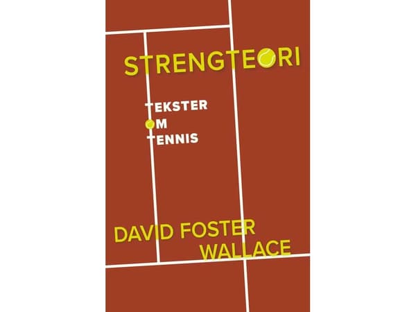 Strängteori | David Foster Wallace | Språk: Danska