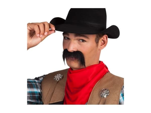 Aster Wąsy cowboy univ