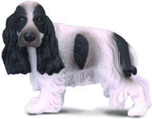 Hund Cocker Spaniel engelsk (M)