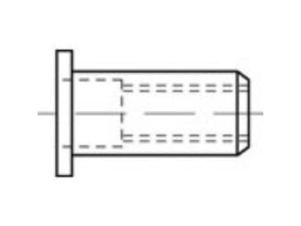 TOOLCRAFT TO-5380452 Blindnittemøtrik M6 Rustfrit stål 250 stk