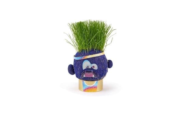 Hape Plant Pals (1 pcs) - Assorted