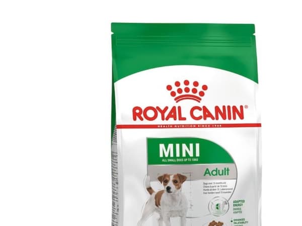 ROYAL CANIN Adult Mini S - tørfoder til hunde - 2kg