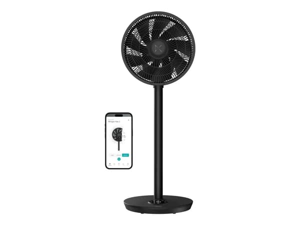 Duux Whisper Flex 2 Smart Black