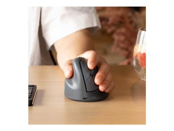 R-Go Vertical mouse HE Basic - - vänsterhänt - trådlös