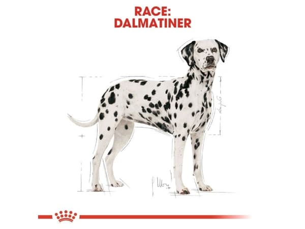 Royal Canin Dalmatian Adult tørfoder til hund - 12 kg