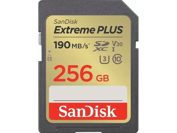 SanDisk Extreme PLUS - Flash-minneskort - 256 GB