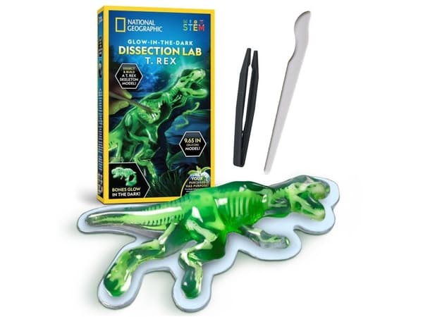 National Geographic Dissection Lab T. Rex