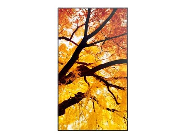 Sharp MultiSync PN-M982, Interaktiv plattskärm, 2,48 m (97.5"), LED, 3840 x 2160 pixlar, 24/7