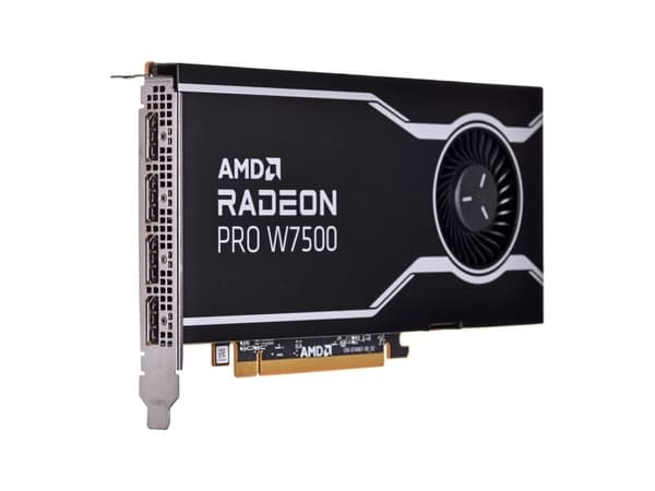 AMD Radeon Pro W7500 - Grafikkort GDDR6